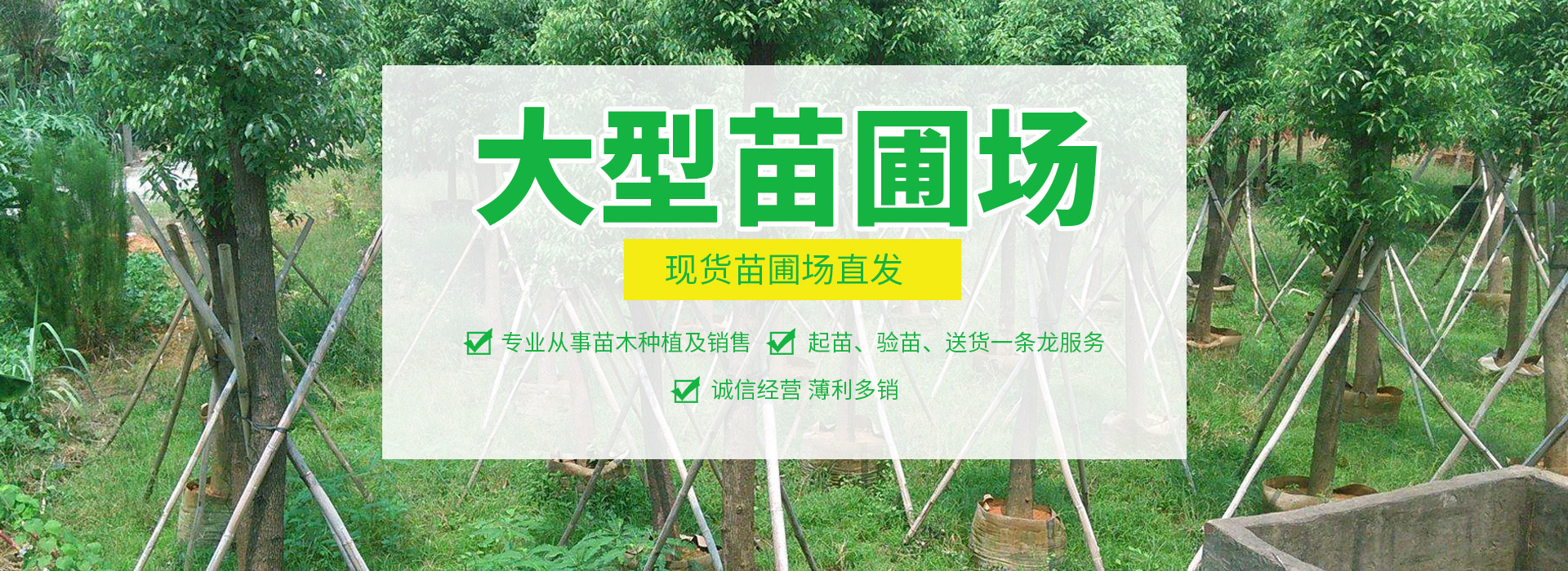 宏盛园林绿化